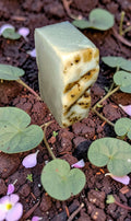 Savon Lait d'Avoine Eucalyptus Citronné