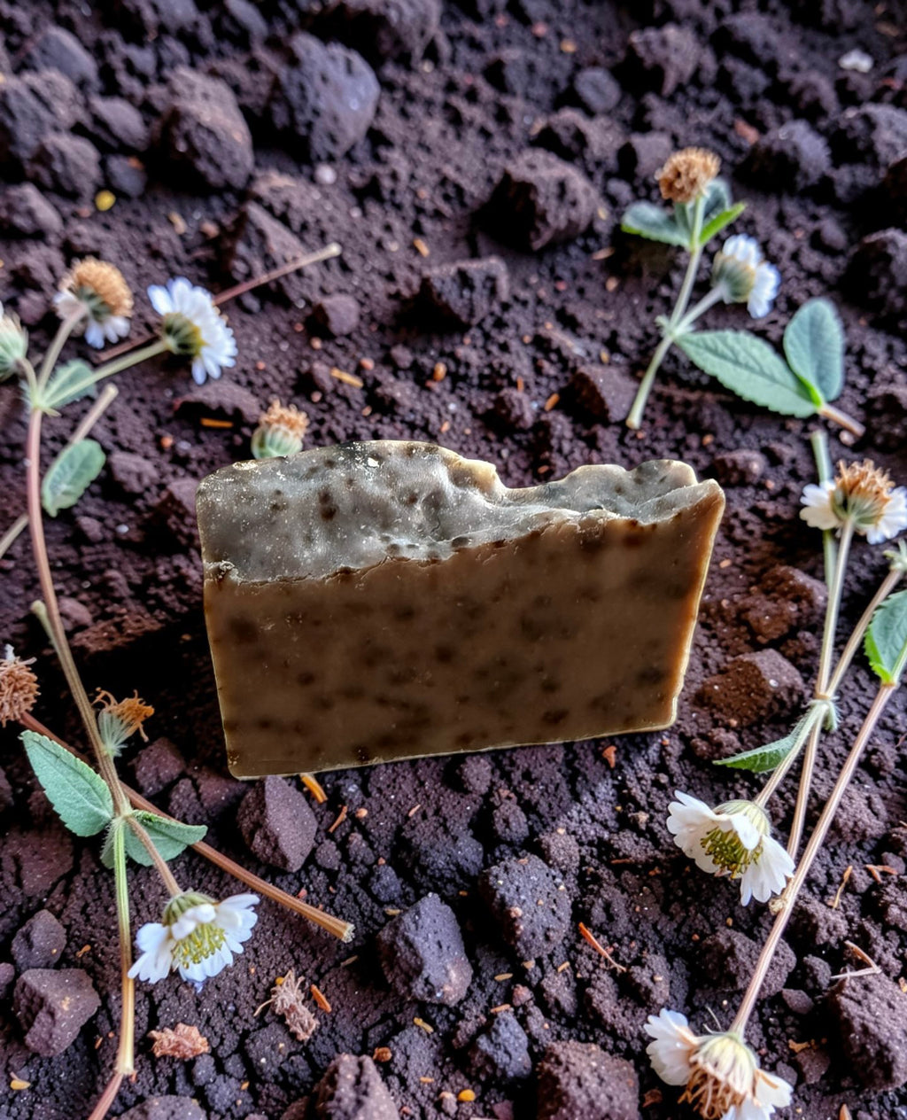 Savon Nigelle & Tea Tree